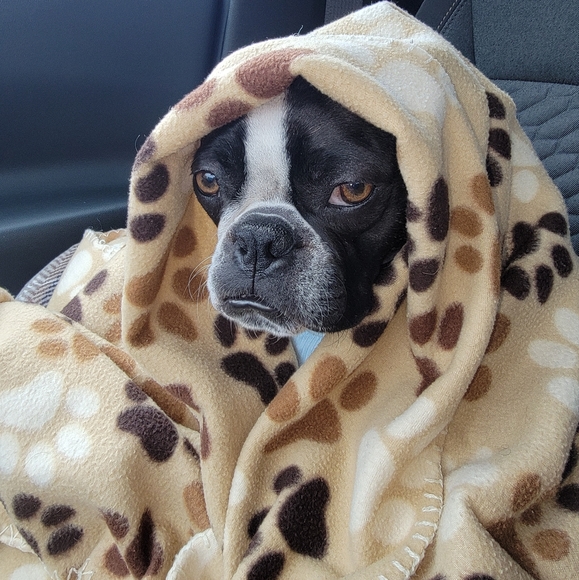 Meet your Posher, Tiff - Picture 14 of 16